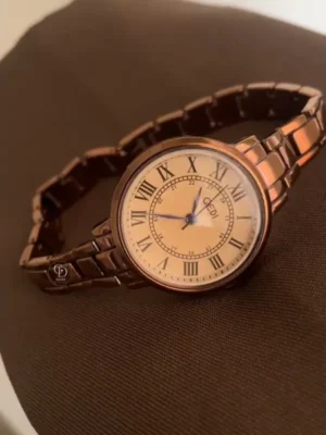 Chic Brown Roman Numeral Ladies Watch Classic Big Round Face Watch for Women
