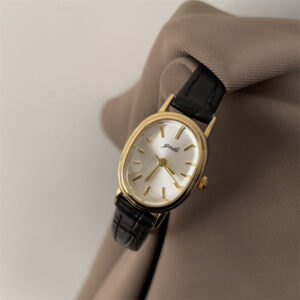 Chic Style Brown/Black Oval Leather Watch for Women
