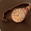 Chic Brown Roman Numeral Ladies Watch Classic Big Round Face Watch for Women