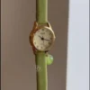 Dainty Green Leather Strap Ladies Watch Round Face Roman Numeral Watch for Women