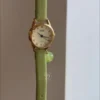 Dainty Green Leather Strap Ladies Watch Round Face Roman Numeral Watch for Women